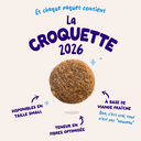 Croquettes chien adulte "Alléchant saumon" sans céréales (12 kg) - Edgard & Cooper