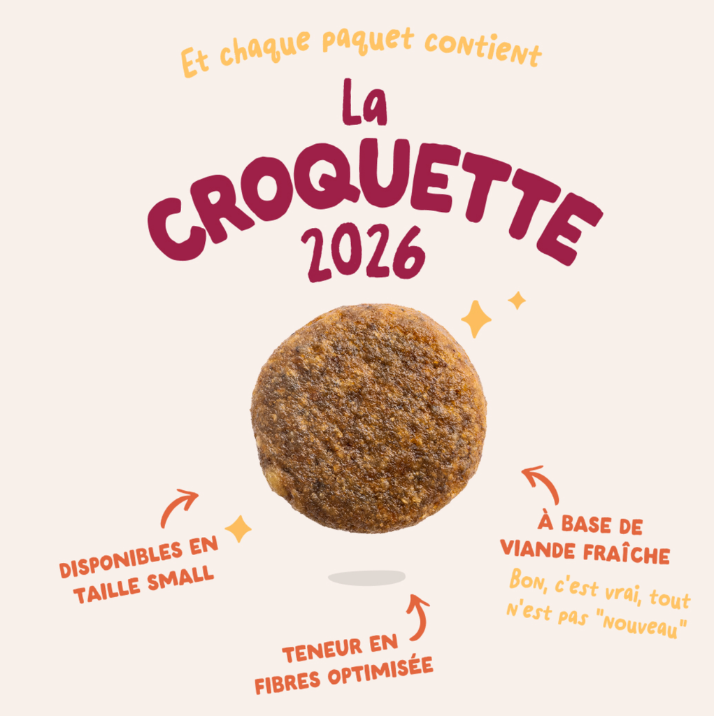 Croquettes chien adulte "Succulent poulet" sans céréales (12 kg) - Edgard & Cooper