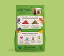 Croquettes chien adulte mini "Irrésistible agneau" sans céréales (3 kg) - Edgard & Cooper