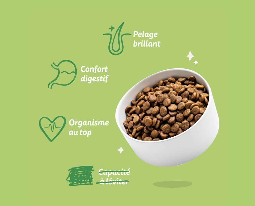 Croquettes chien adulte mini "Irrésistible agneau" sans céréales (3 kg) - Edgard & Cooper