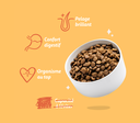 Croquettes chien adulte mini "Succulent poulet" sans céréales (3 kg) - Edgard & Cooper