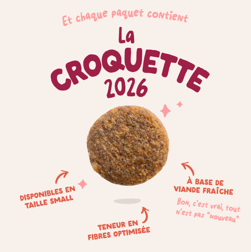 Croquettes chien senior "Appétissant poulet" sans céréales (12 kg) - Edgard & Cooper