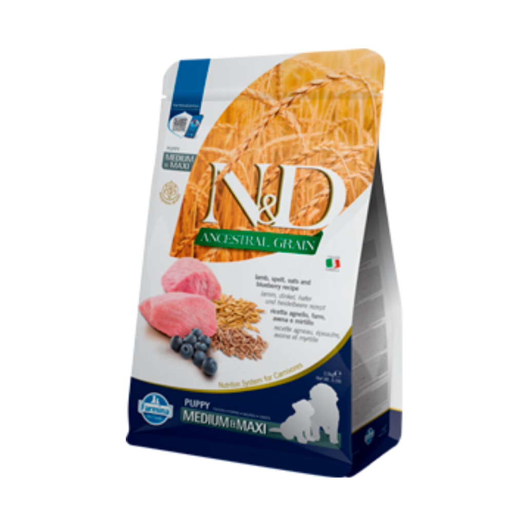 [10128_17993] Agneau & Myrtille Ancestral Grain chiot medium & maxi (2.5 kg) - Farmina