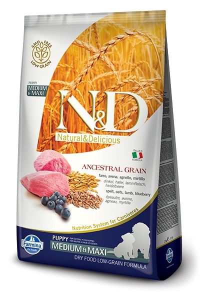 Agneau & Myrtille Ancestral Grain chiot medium & maxi (2.5 kg) - Farmina