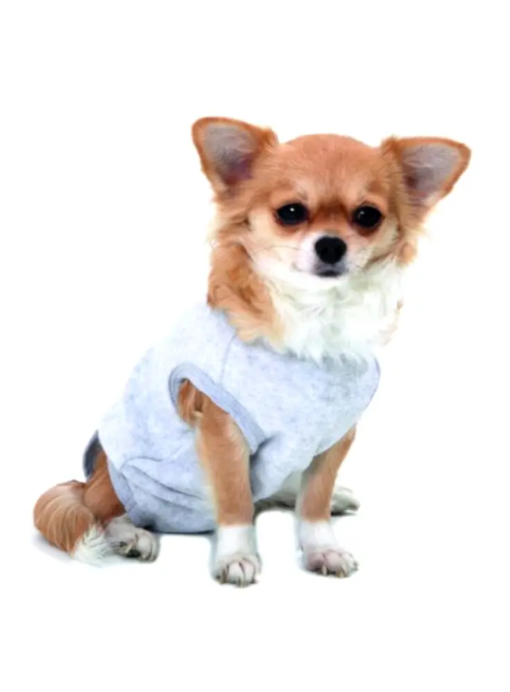 Safety Body "Protection des blessures" (Taille 3) - Karlie