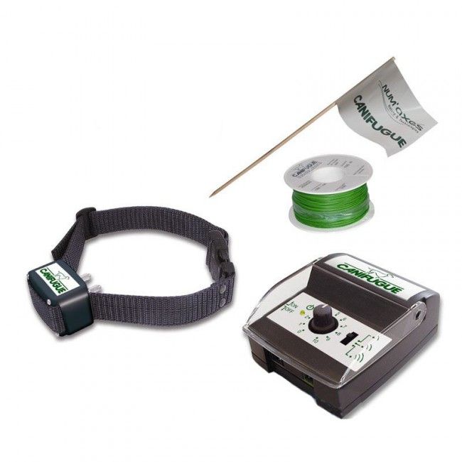 [11559] Ensemble anti-fugue "Canifugue" - Num'axes