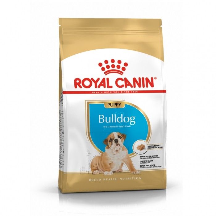 Bulldog Junior (3 kg) - Royal Canin