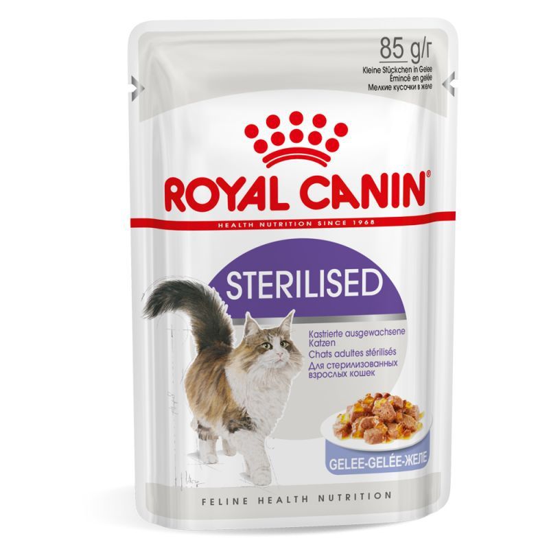 Feline Nutrition Sterilised "en gelée" à l'unité - Royal Canin