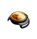Lampe de sécurité LED pour collier "Dog Dual" (Jaune) - Orbiloc
