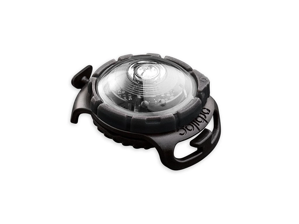 [12087_21866] Lampe de sécurité LED pour collier "Dog Dual" (Blanc) - Orbiloc