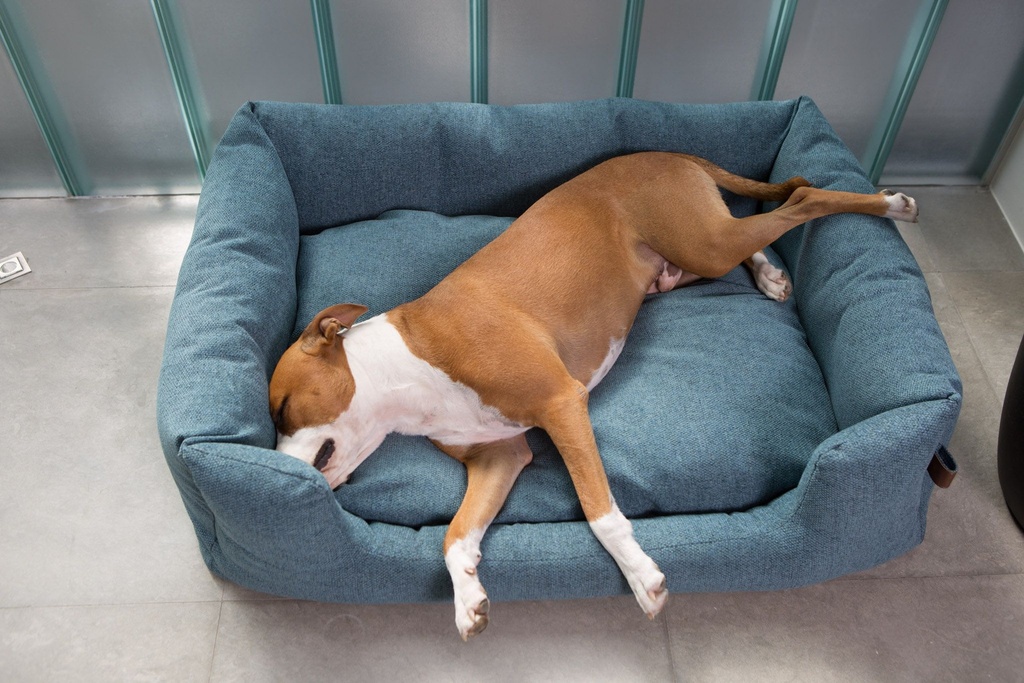 Panier ORIGIN Snooze Cosmic Blue (M) - Fantail