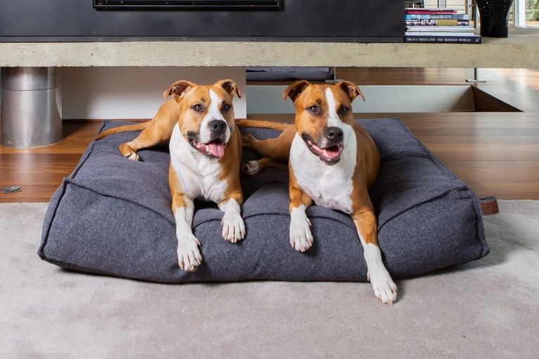 Matelas ORIGIN Stargaze Epic Grey (XL) - Fantail