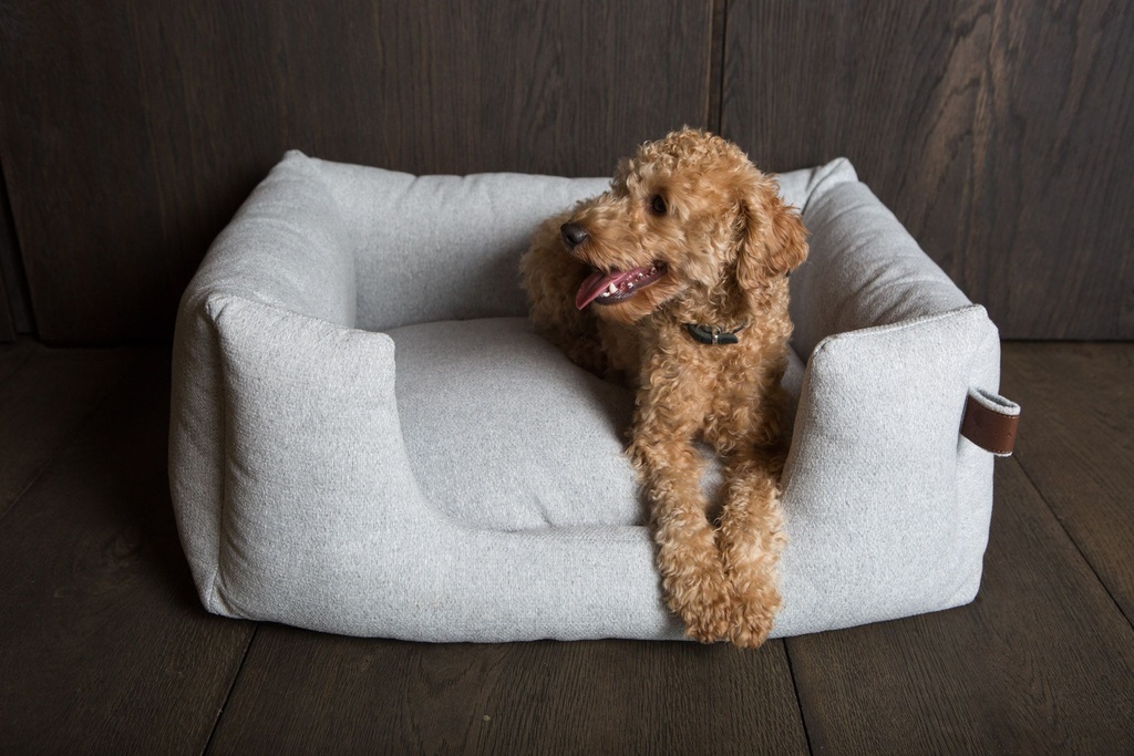 [12100_21900] Panier ORIGIN Snooze Silver Spoon (S) - Fantail