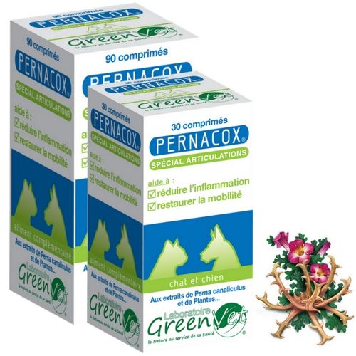 [12180] Pernacox Chien/Chat 30 comprimés - Greenvet