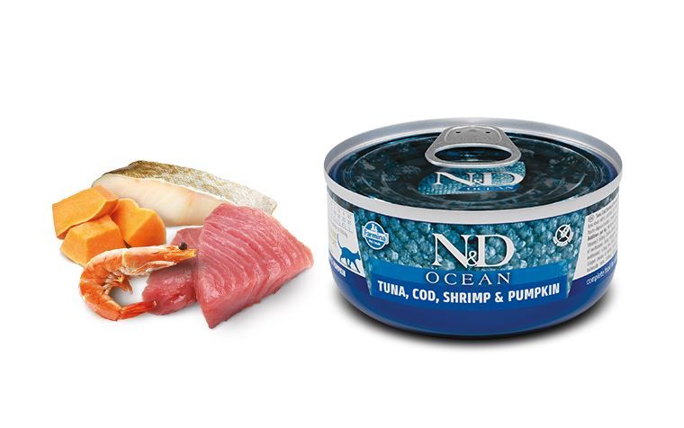 Chat adulte boite océan morue crevettes & potiron - Farmina