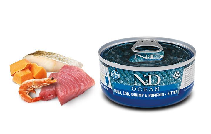 Chaton boite océan morue crevettes & potiron (70 g) - Farmina