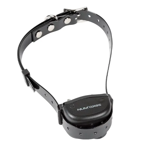 Collier pour chien anti-aboiement "Canicalm Smart" - Num'axes