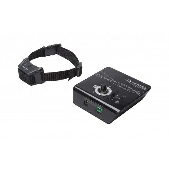 Clôture anti-fugue pour chien "Canifugue" - Num'axes