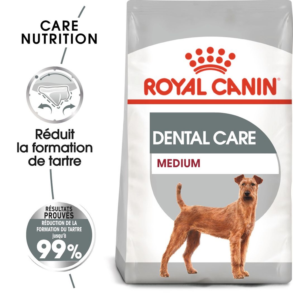 Medium Dental Care (10 kg) - Royal Canin