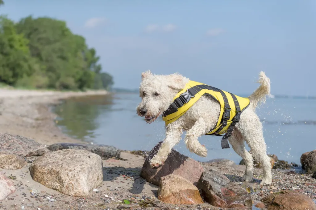 Gilet de flottaison jaune pour chien (L) - Trixie