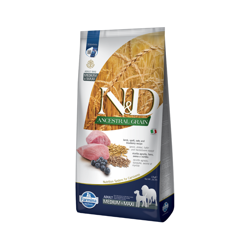 Agneau & Myrtille Ancestral Grain chien medium & maxi (12 kg) - Farmina