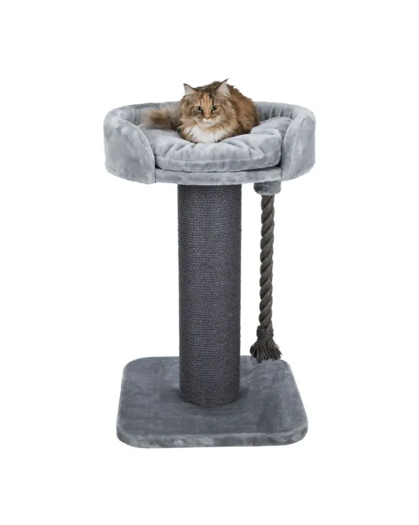 Arbre à chat XXL Klara gris (100 cm) - Trixie