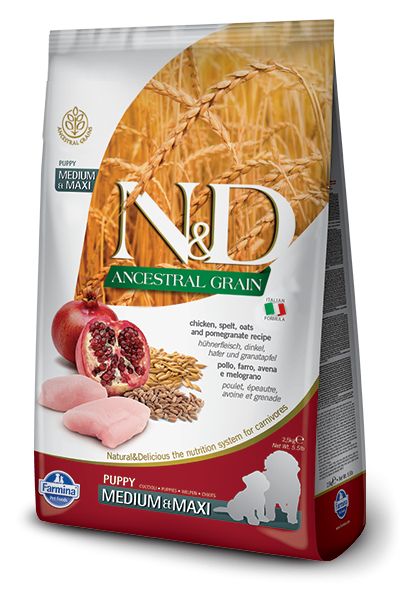 Poulet & Grenade Ancestral Grain chiot médium et maxi (12 kg) - Farmina