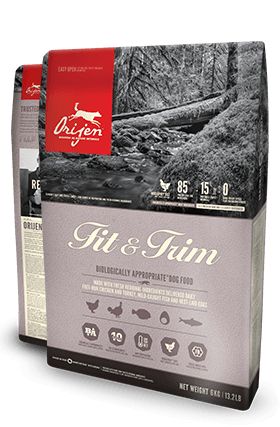 Fit & Trim (6 kg) - Orijen