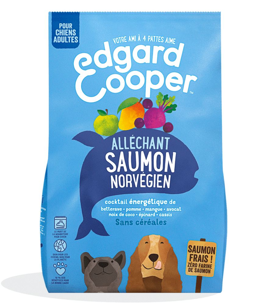Croquettes chien adulte "Alléchant saumon" sans céréales (12 kg) - Edgard & Cooper