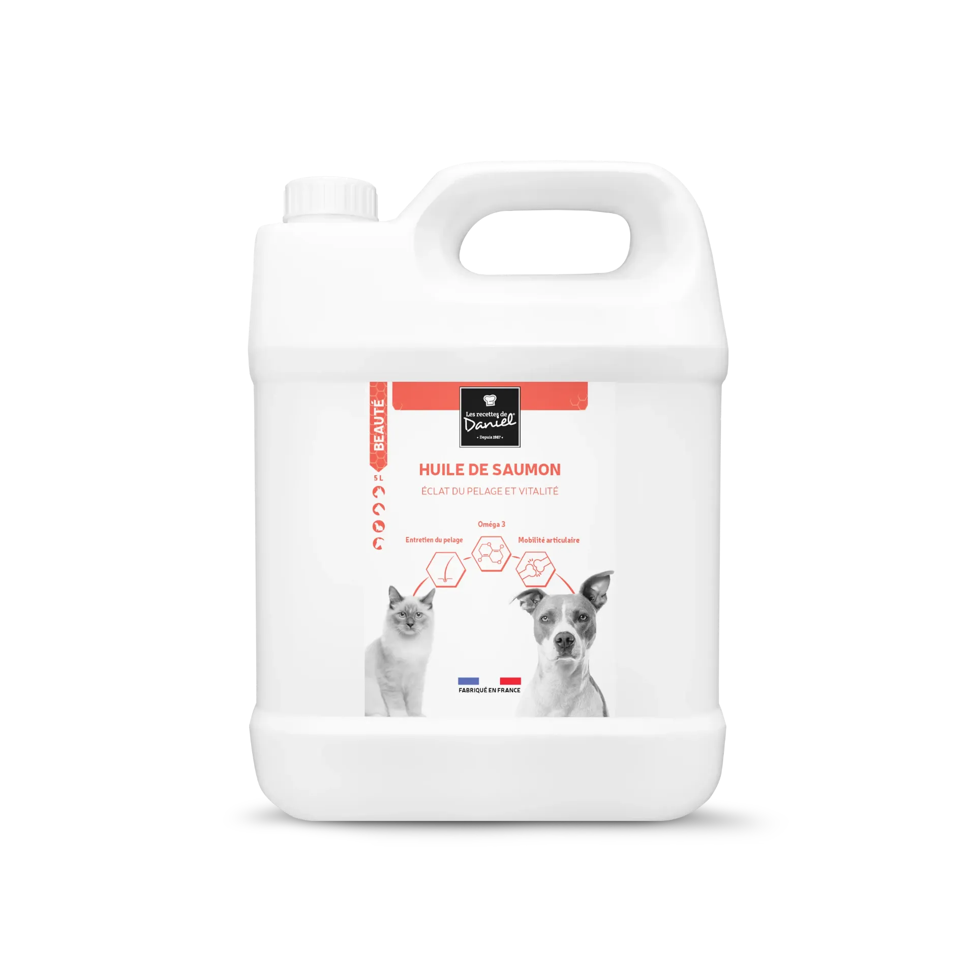Huile de saumon (5 litres) - Les recettes de Daniel