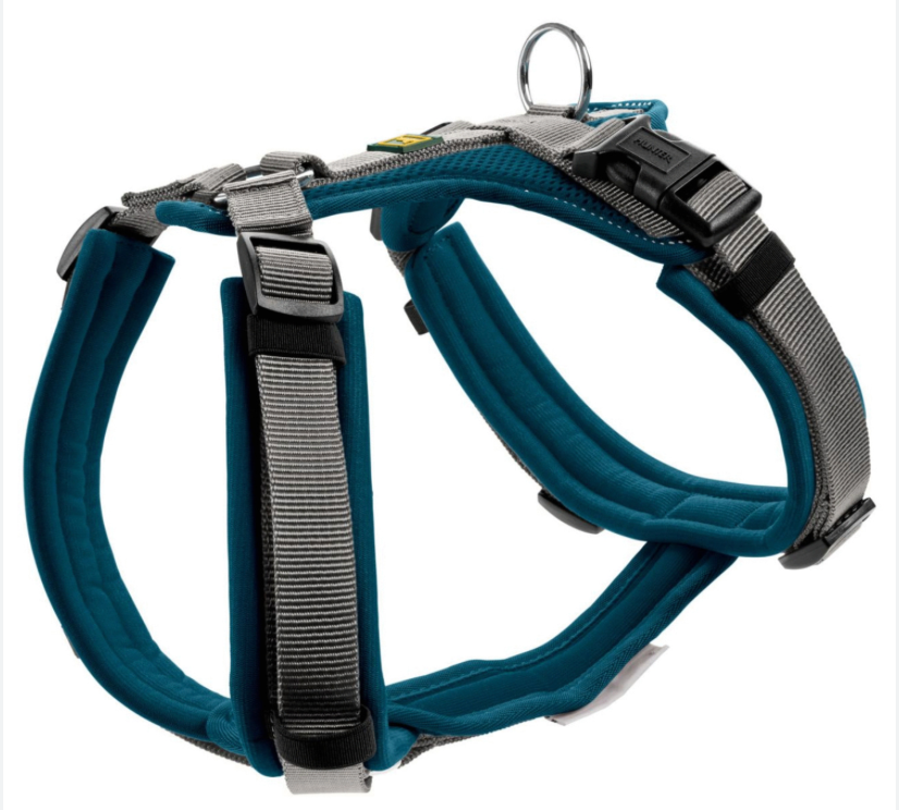 Harnais "Maldon" bleu (XS/S) - Hunter