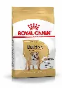 Bulldog (3 kg) - Royal Canin