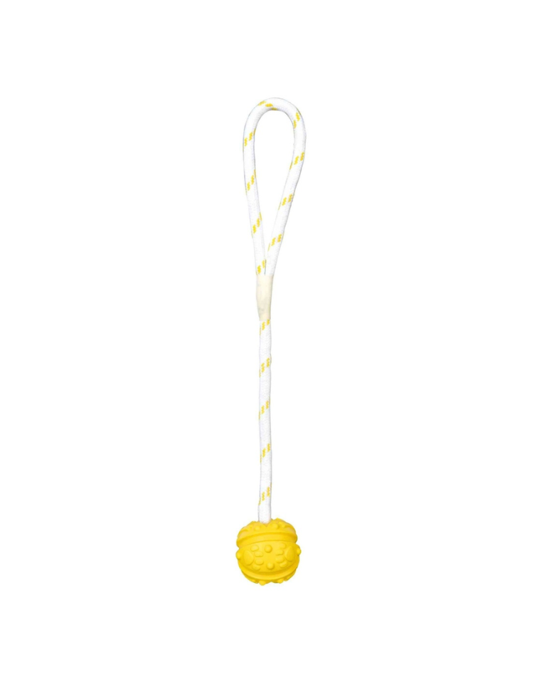 Balle sur corde aquatique - Trixie