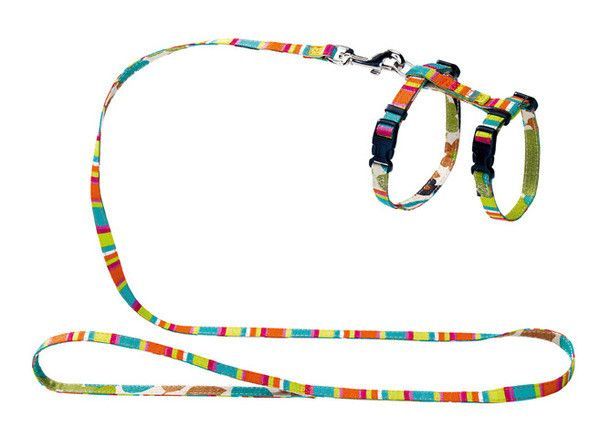 Harnais chat "Bunt" en nylon - Hunter
