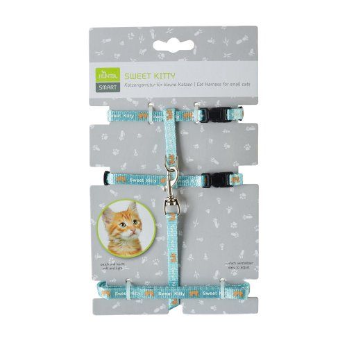 Harnais chat "Sweety kitty" bleu en nylon - Hunter