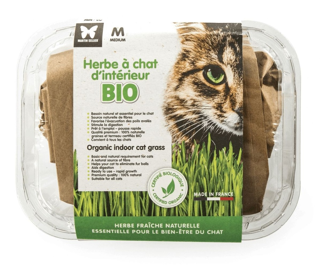 Barquette Herbe à chat Bio à semer - Martin Sellier