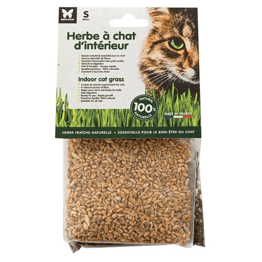 Herbe à chat à semer 125g - Martin Sellier