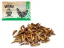 Aile de poulet "Butcher" (300 g) - Vadigran