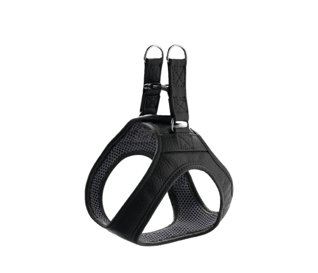 Harnais "Hilo" noir (XS/S) - Hunter