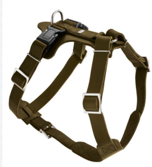 [14121_25476] Harnais "Y" Aalborg olive (L) - Hunter