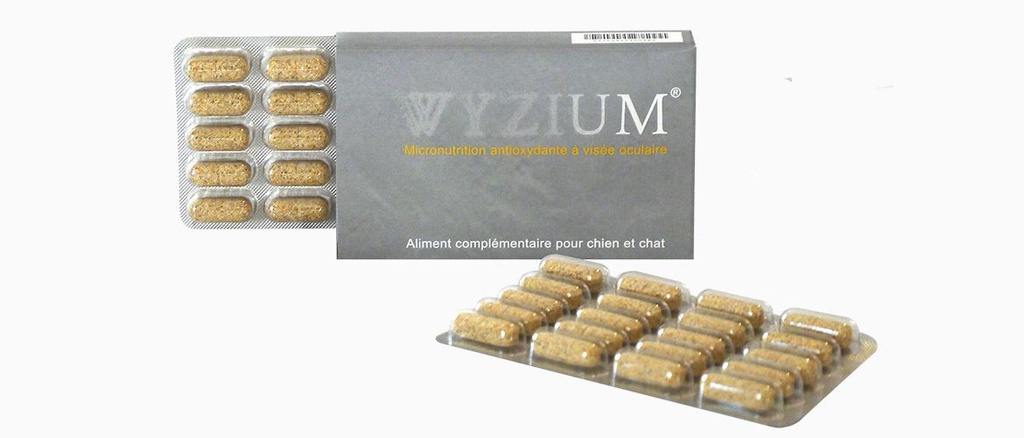 [14189_25609] Complément alimentaire "Wyzium" - Laboratoire Moureau (Boite : 40 comprimés)