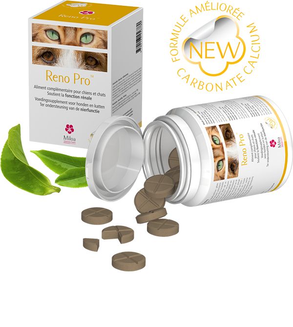 Complément alimentaire "Reno Pro" - Miloa