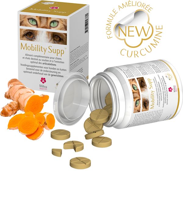 Complément alimentaire "Mobility Supp" - Miloa