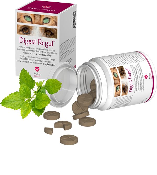 Complément alimentaire "Digest Regul" - Miloa