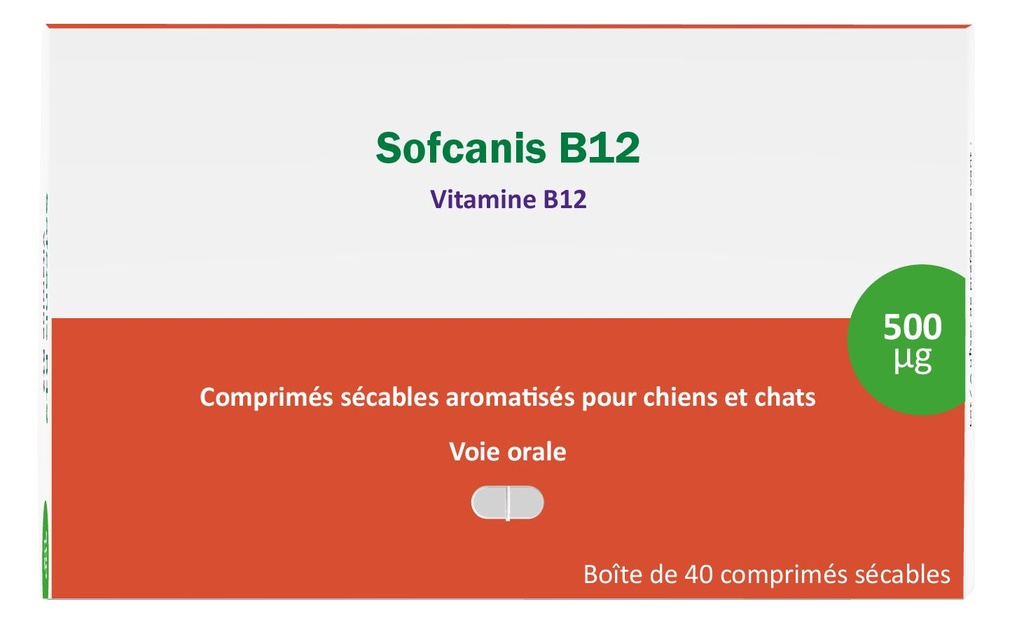 Sofcanis B12 (40 comprimés) - Osalia