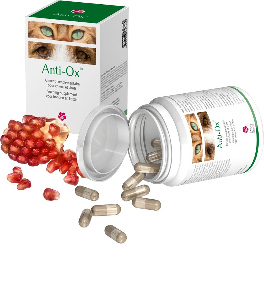 Complément alimentaire "Anti-Ox" - Miloa