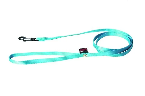 [14379_25796] Laisse simple épaisseur en nylon - Turquoise (120 x 2.5 cm) - Martin Sellier