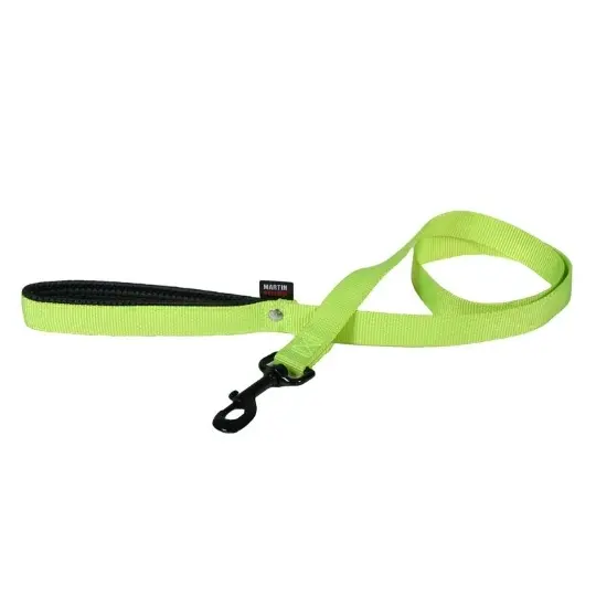 Laisse simple épaisseur en nylon - Vert (120 x 1 cm) - Martin Sellier