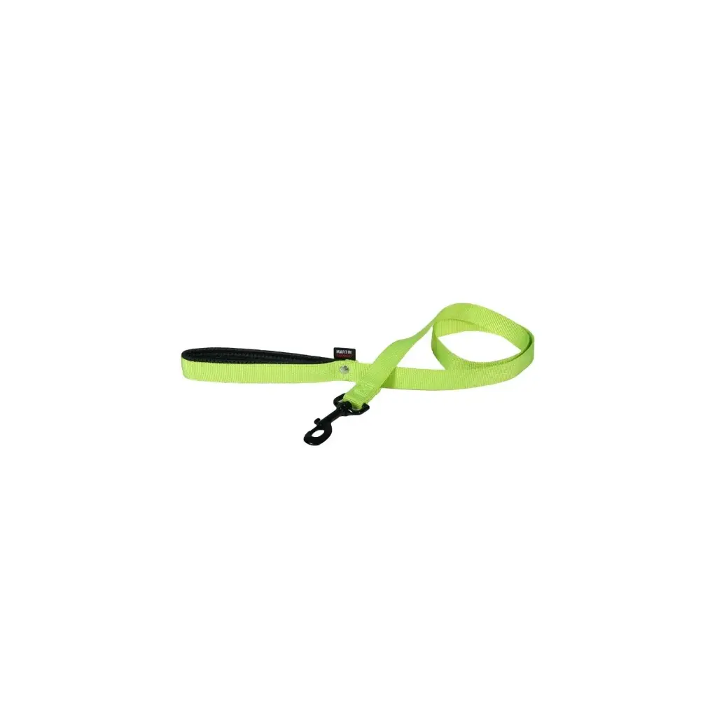 Laisse simple épaisseur en nylon Vert - Martin Sellier 120 x 2,5 cm
