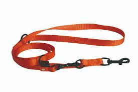 Laisse de dressage 3 positions (Orange) - Martin Sellier